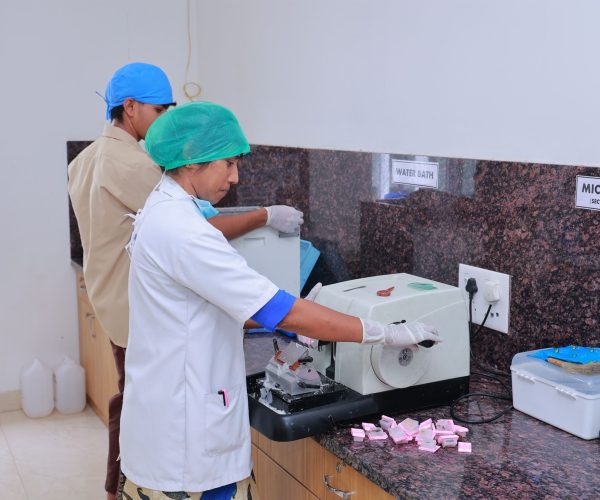 Mass Image Compressor Compressed this image. https://sourceforge.net/projects/icompress/ with Quality:80